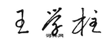 骆恒光王学柱草书个性签名怎么写