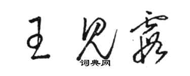 骆恒光王见霞草书个性签名怎么写