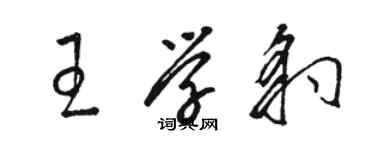 骆恒光王学豹草书个性签名怎么写