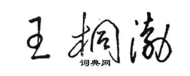骆恒光王桐渤草书个性签名怎么写