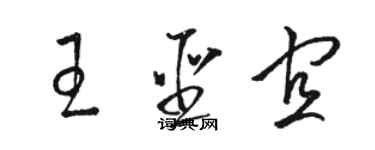 骆恒光王圣宜草书个性签名怎么写