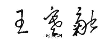 骆恒光王寒融草书个性签名怎么写
