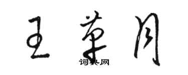 骆恒光王革月草书个性签名怎么写