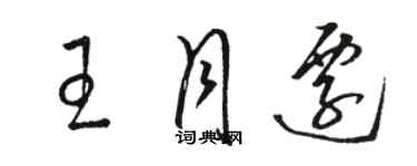 骆恒光王月迁草书个性签名怎么写
