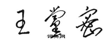 骆恒光王党密草书个性签名怎么写