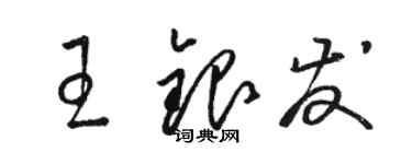 骆恒光王银发草书个性签名怎么写