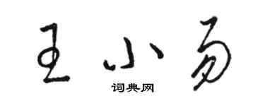 骆恒光王小易草书个性签名怎么写