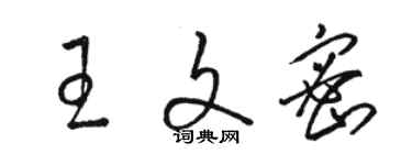 骆恒光王文密草书个性签名怎么写