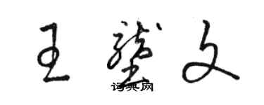 骆恒光王垄文草书个性签名怎么写