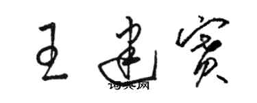 骆恒光王建赛草书个性签名怎么写