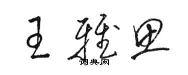 骆恒光王雅思草书个性签名怎么写