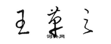 骆恒光王革之草书个性签名怎么写