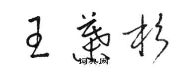 骆恒光王叶杉草书个性签名怎么写