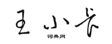 骆恒光王小卡草书个性签名怎么写