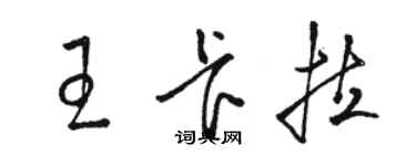 骆恒光王卡拉草书个性签名怎么写