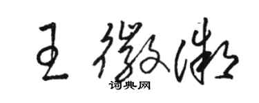骆恒光王徽微草书个性签名怎么写