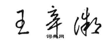 骆恒光王辛微草书个性签名怎么写