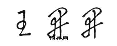 骆恒光王开开草书个性签名怎么写