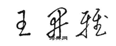 骆恒光王开雅草书个性签名怎么写