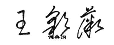 骆恒光王彩薇草书个性签名怎么写