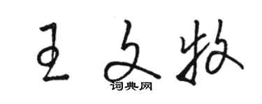 骆恒光王文牧草书个性签名怎么写