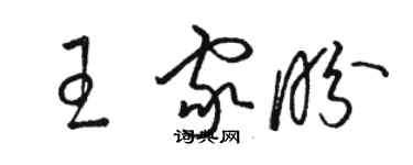 骆恒光王家盼草书个性签名怎么写