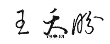骆恒光王夭盼草书个性签名怎么写