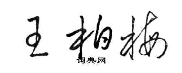 骆恒光王柏梅草书个性签名怎么写