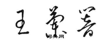 骆恒光王兰响草书个性签名怎么写