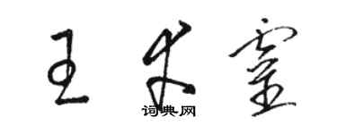骆恒光王幸灵草书个性签名怎么写