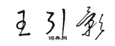 骆恒光王引影草书个性签名怎么写