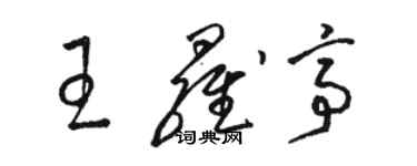 骆恒光王罗亭草书个性签名怎么写