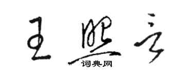 骆恒光王照言草书个性签名怎么写