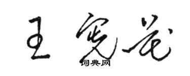 骆恒光王宪花草书个性签名怎么写