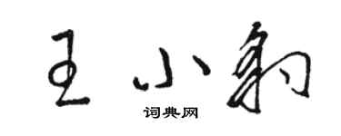骆恒光王小豹草书个性签名怎么写