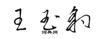 骆恒光王玉豹草书个性签名怎么写
