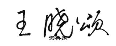 骆恒光王晓颂草书个性签名怎么写