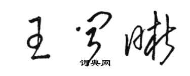 骆恒光王闻晰草书个性签名怎么写
