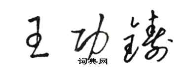 骆恒光王功铸草书个性签名怎么写