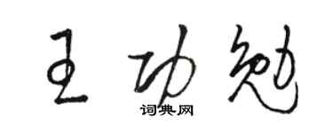 骆恒光王功勉草书个性签名怎么写