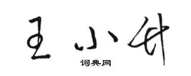 骆恒光王小竹草书个性签名怎么写