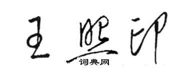 骆恒光王照印草书个性签名怎么写
