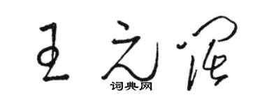 骆恒光王元阔草书个性签名怎么写