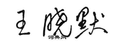 骆恒光王晓默草书个性签名怎么写