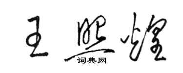 骆恒光王照煌草书个性签名怎么写