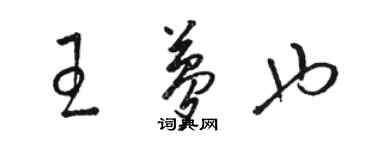 骆恒光王梦也草书个性签名怎么写