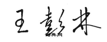 骆恒光王彭林草书个性签名怎么写
