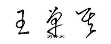 骆恒光王单其草书个性签名怎么写