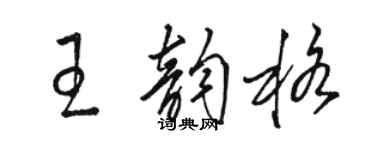 骆恒光王韵格草书个性签名怎么写