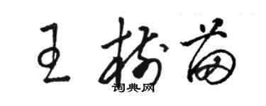 骆恒光王树苗草书个性签名怎么写